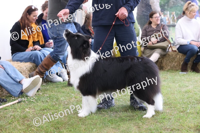 20250607-0303 - Class 8 - Best groomed