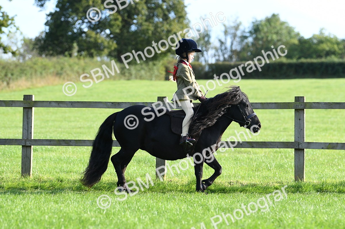 SBM_53999 - S23 - 1st Ridden Mountain & Moorland Pony