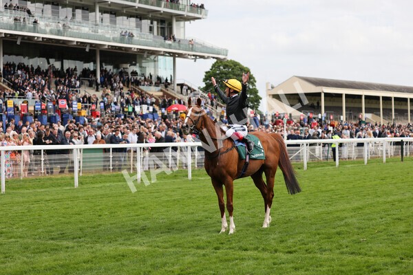 yr13052022r4-72 - Race 4 3.35pm The Paddy Power Yorkshire Cup (British Champions Series Race)