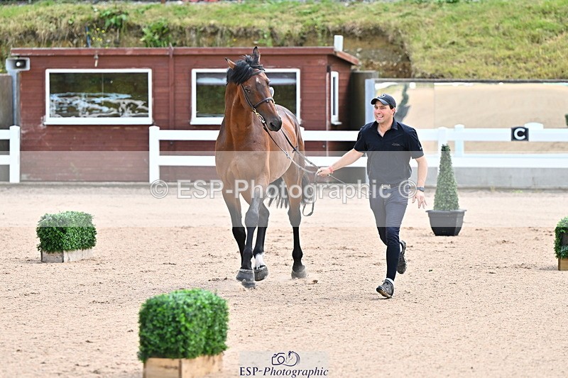 240718A-105236-00880 - Trot Up 11am to 12pm