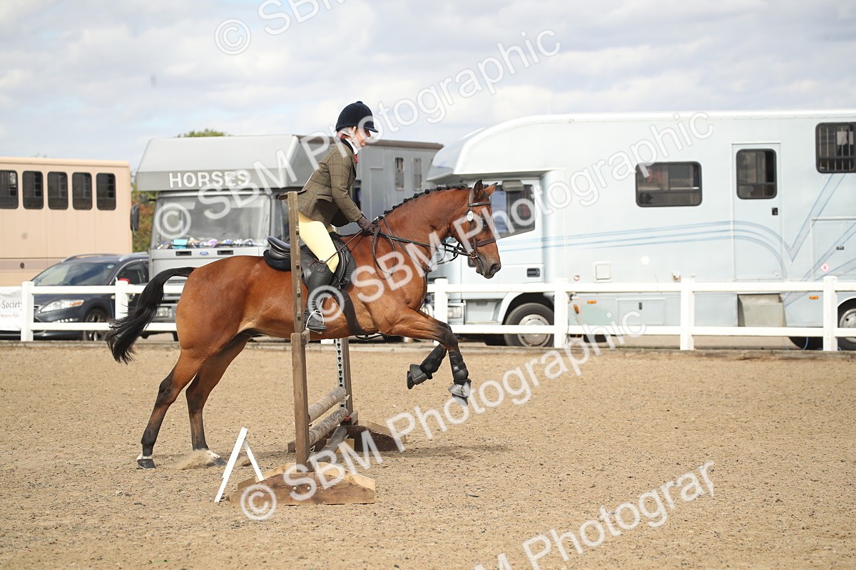 SBM_15213 - Class 506a - Working Veteran - 50cm (15-19)