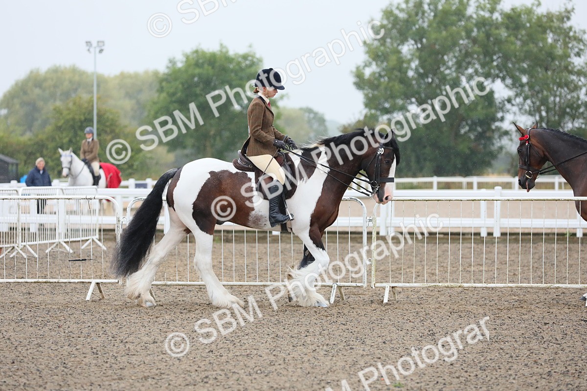 SBM_19844 - Class 801 - Ridden Veteran