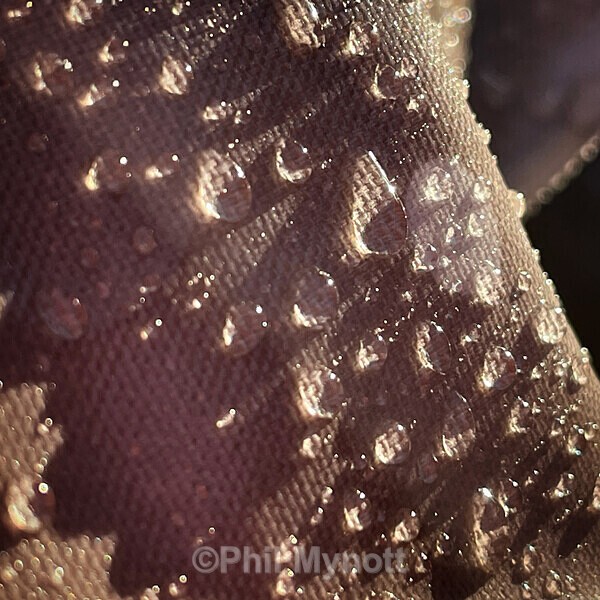 PhotoMynottART095 - Photo Mynott ART Images