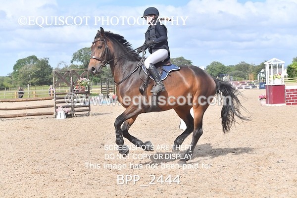 BPP_2444 - DERBY CLASS 7 - 80CM