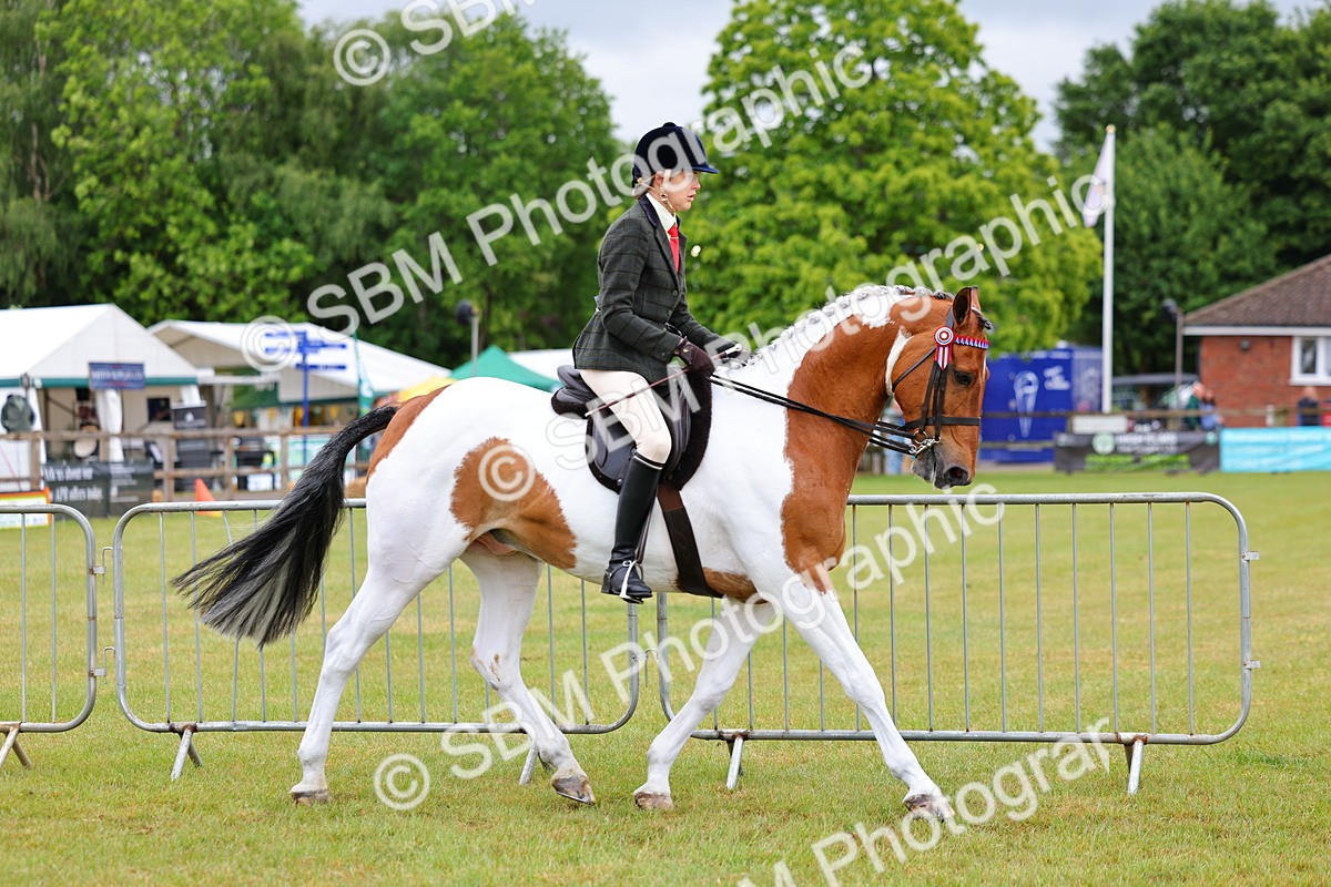 SBM_02475 - Class 9-11 Side Saddle including LIHS Rising Star Ladies Show Horse