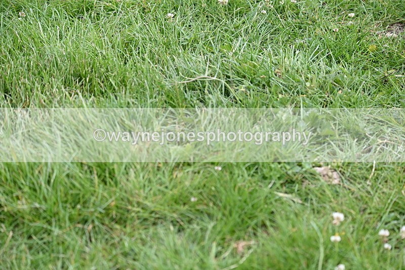 WJ6_3527 - Class 5 80cm Pairs