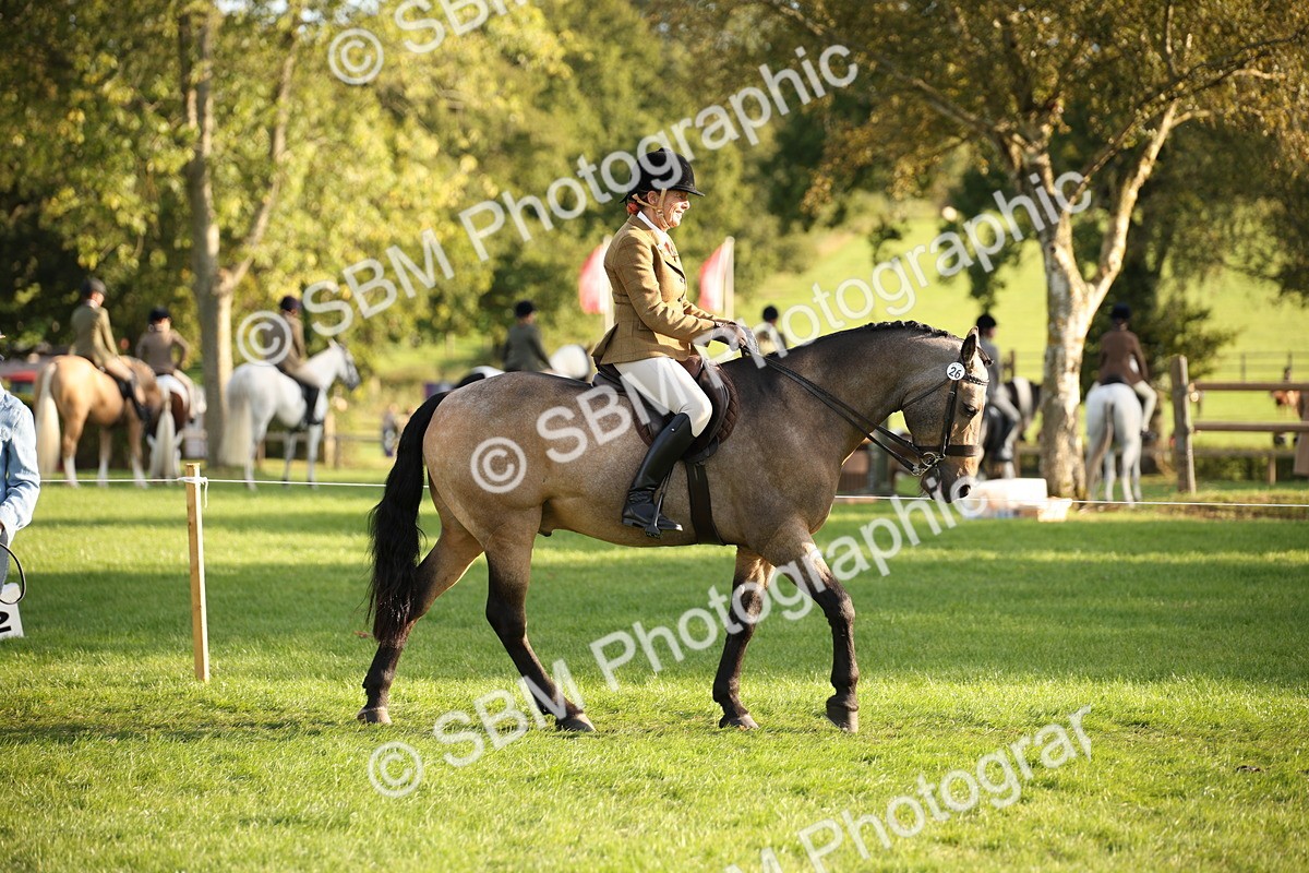 SBM_54375 - S27 - Mature Veteran - Ridden