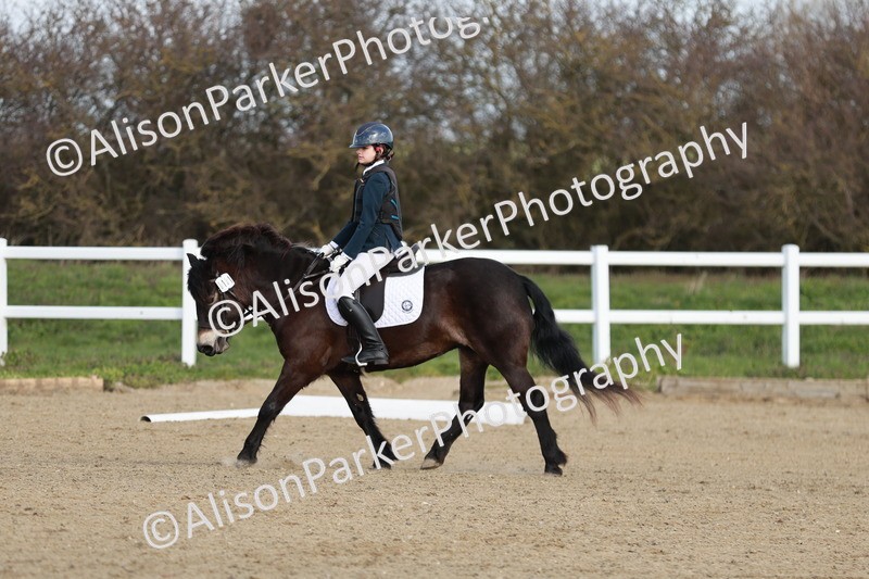 20260314-1085 - DR2 - Intro 3