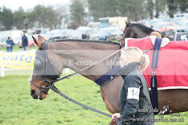 PtP 141225  2200 - New Forest Hounds PtP Larkhill 14/12/25