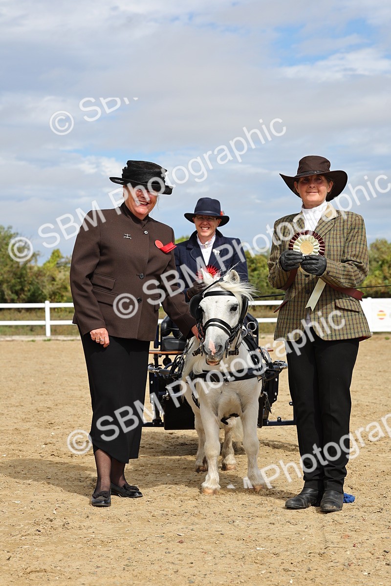SBM_001111 - Class 14 - Shetland Ponies and Minatures