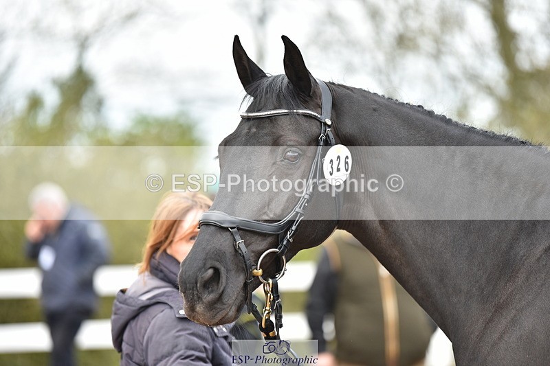 240417A-142504-00513 - 2pm to 3pm