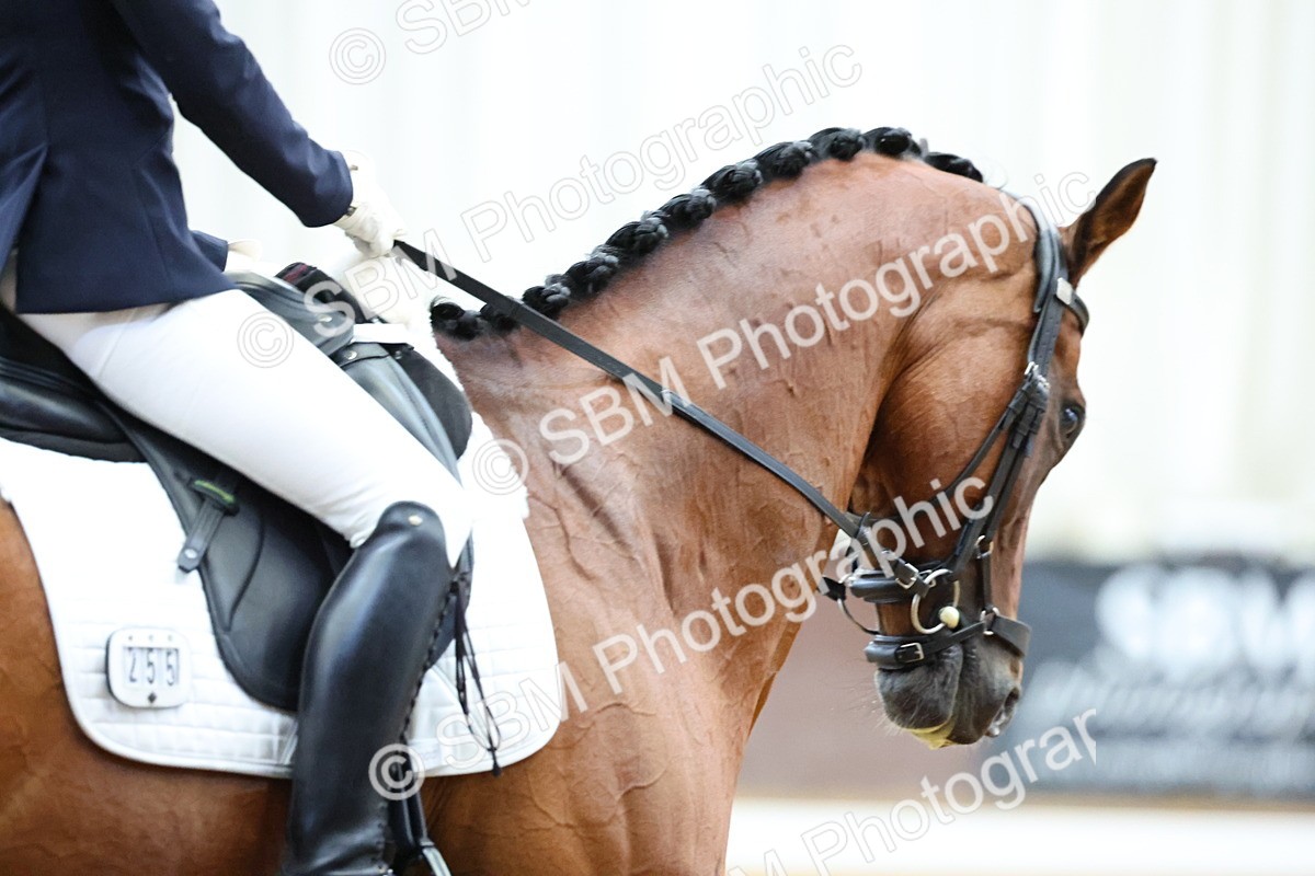 SBM_018264 - Class 19 - Adv Medium FSM - 14.10-15.30