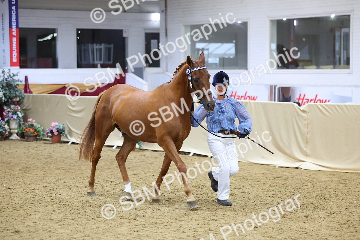 SBM_21048 - Class 902 - Supreme Final IH Veteran