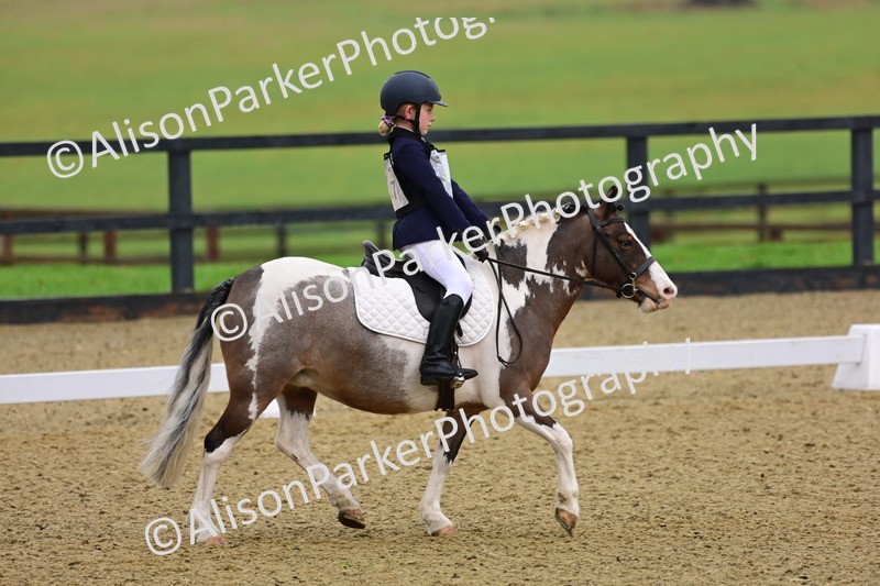 20260125-0639 - Class 9b - Walk Trot Unassisted