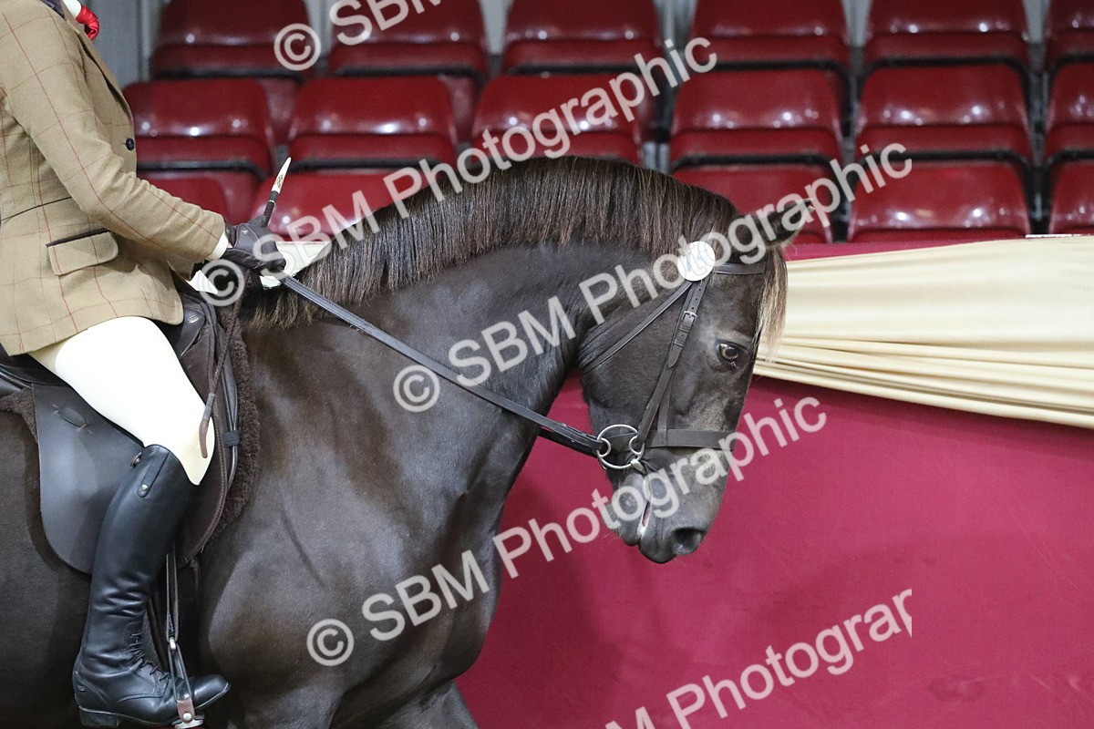 SBM_09229 - Class 101 Equitation (best rider), Junior