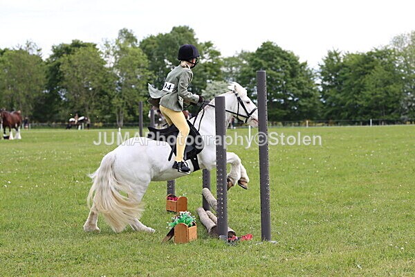 IMG_2535 - Working Hunter