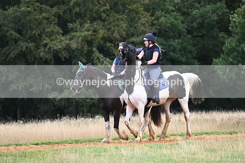 DSC_5322 - Time at Statue 11:46 to 12:16