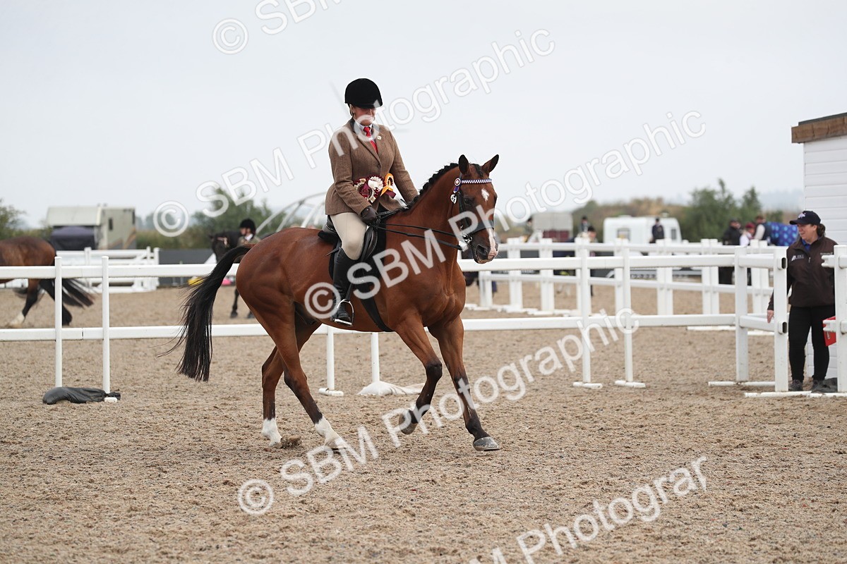 SBM_21688 - Class 602 - 2025 Area - Ridden Veteran
