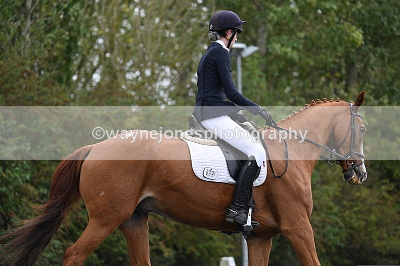 WJ7_6648 - Time 14:49 to 15:14