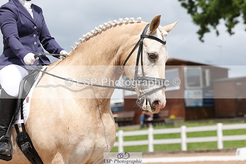 240622A-140605-11906 - Cls 29 BD Elementary 45