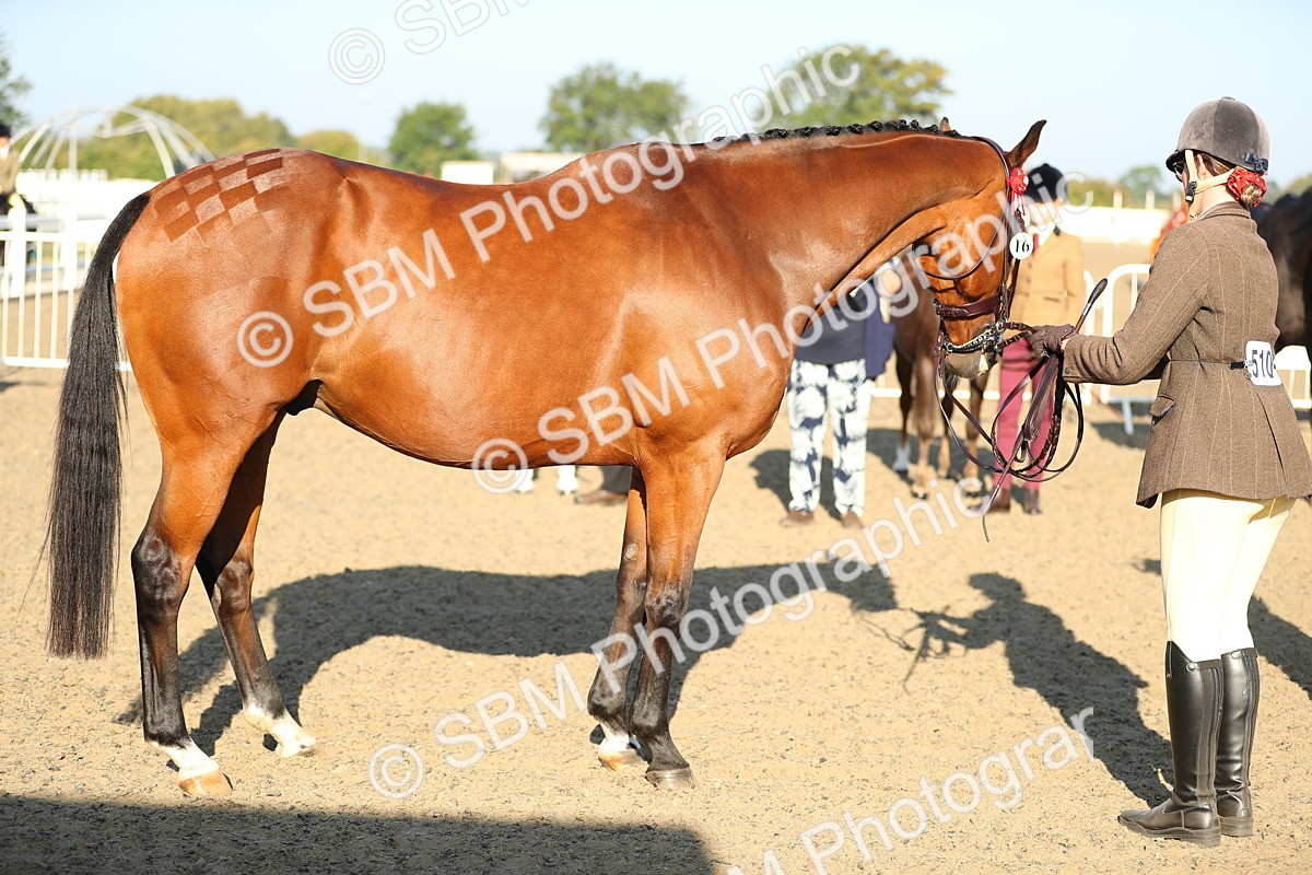 SBM_00027 - Class 40 Best Turned Out IH