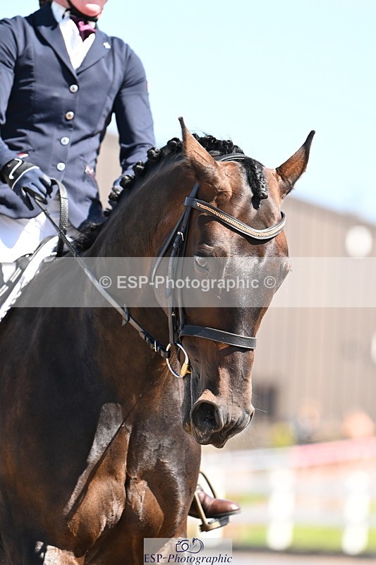 240816A-114502-04112 - 249-Georgina.Young-Minuet1v