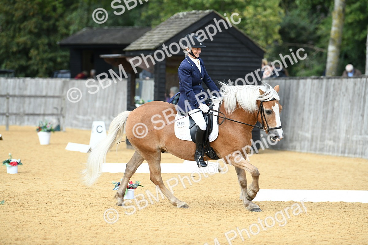 SBM_10910 - D28 Elementary Taster Elementary 42