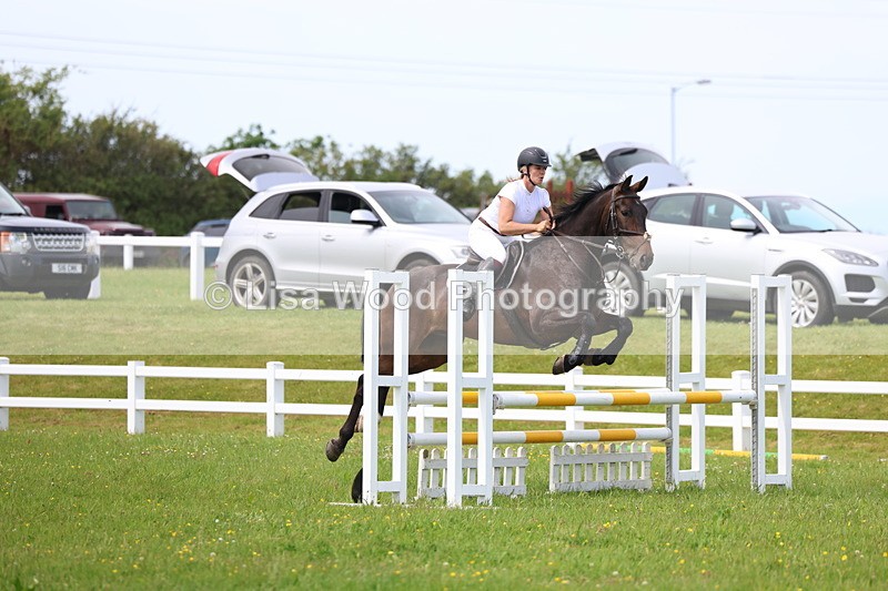 3E7A1485 - Class 13: Senior British Novice/90cm open
