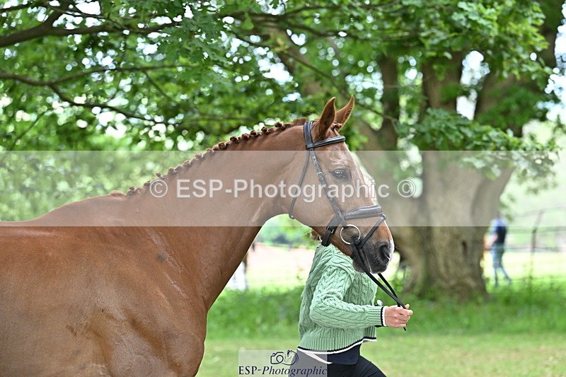 250521A-144135-00171 - A-053-Gemma.Watts-RUBIN.MOON.SB