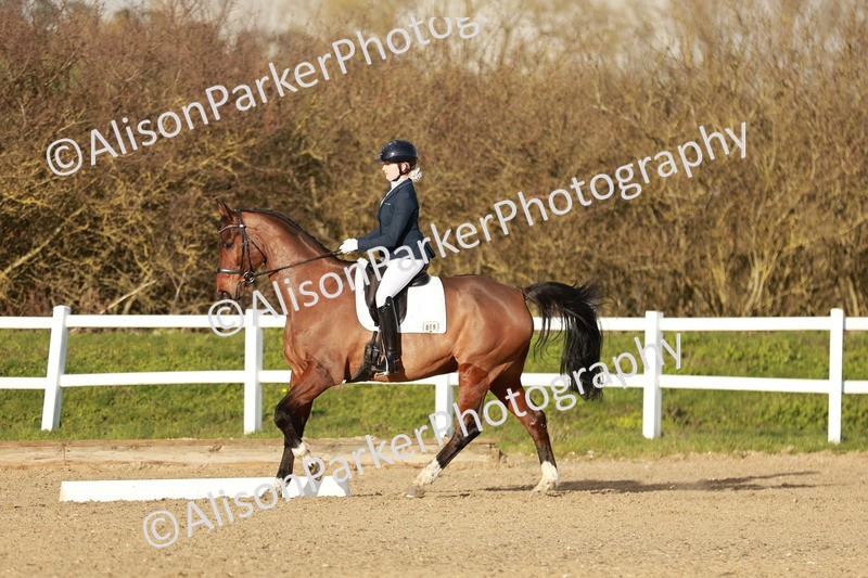 20260314-6306 - CT7 - Elementary 2