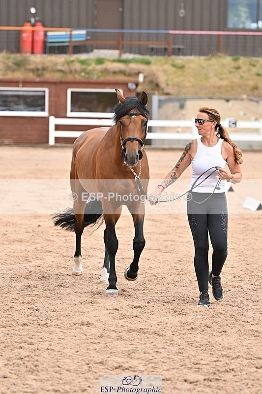 250716-151320-01786 - Trot Up 2.30 to 3.30