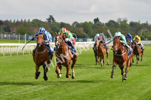 yr14052021r7-25 - Race 7 4.50pm Irish Thoroughbred Marketing Stakes