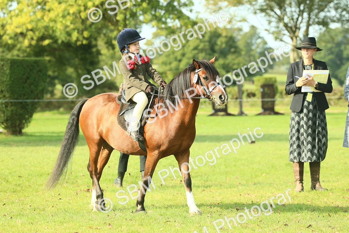 SBM_59930 - S38 - Starters Ridden Showing
