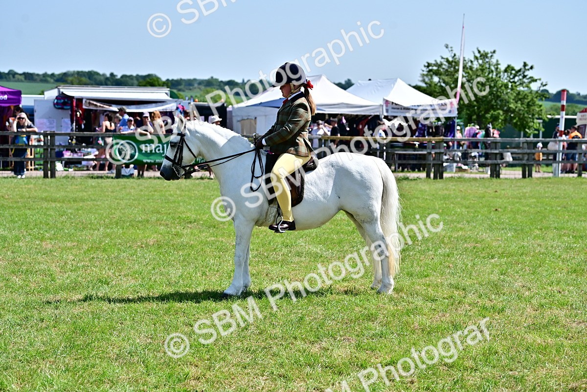 SBM_13947 - Class 95-97 - BSPS LHS Performance Ponies