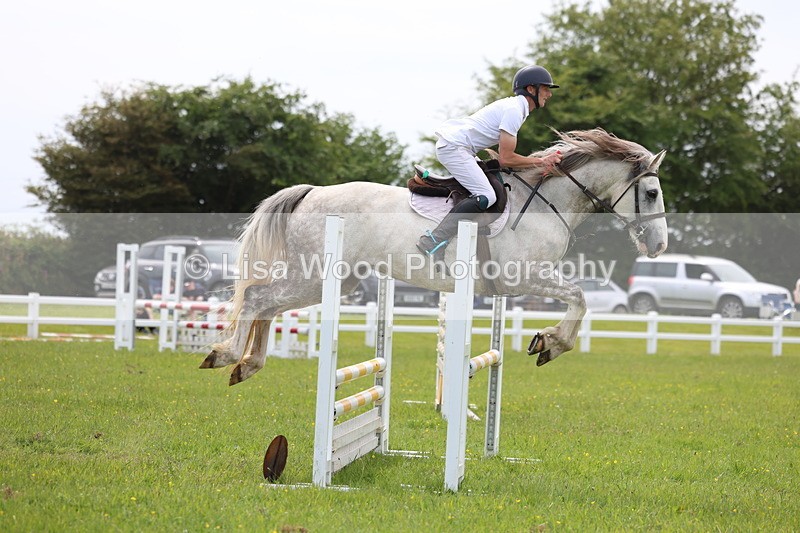 3E7A1635 - Class 13: Senior British Novice/90cm open