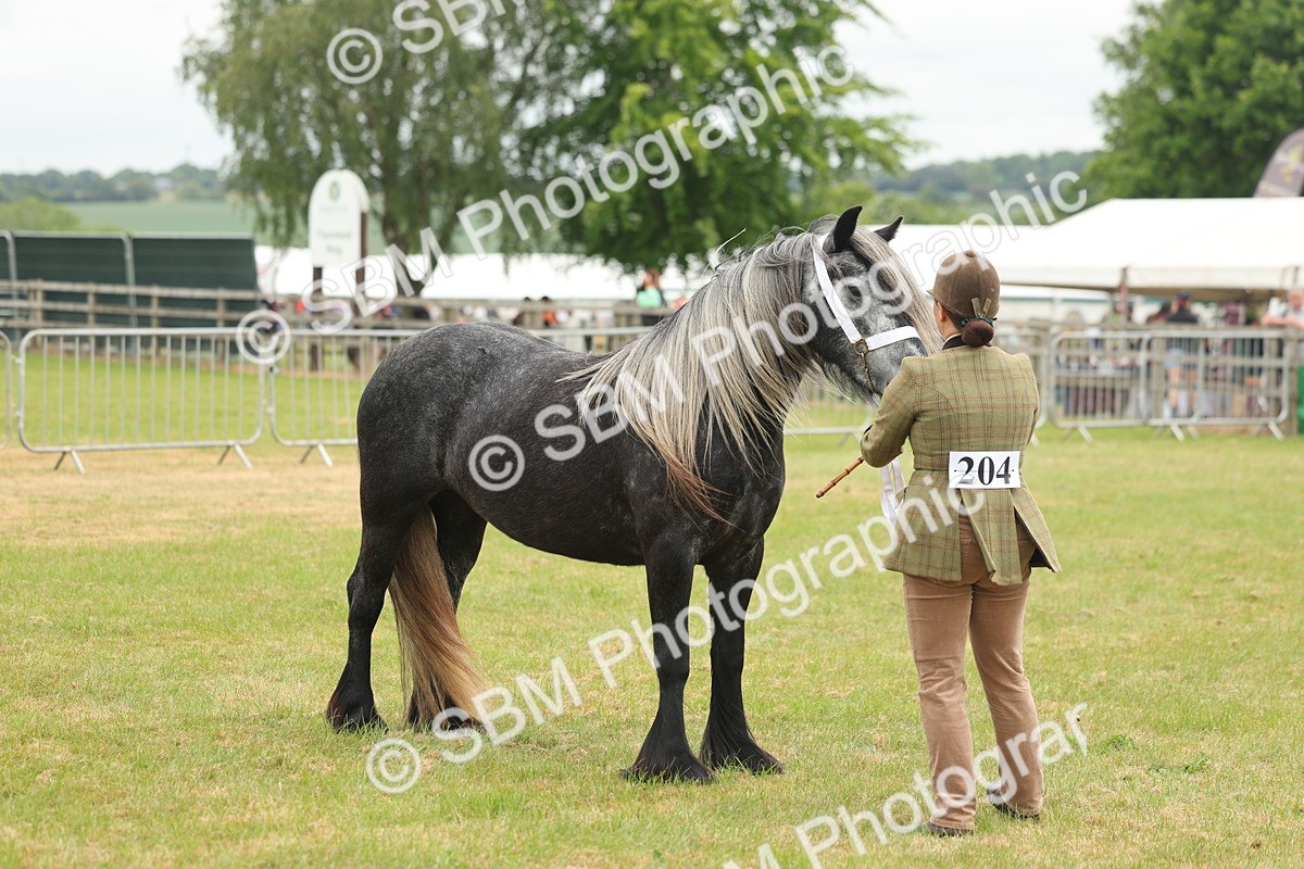 SBM_05090 - Class 50-57 - M&M Welsh Pony In Hand