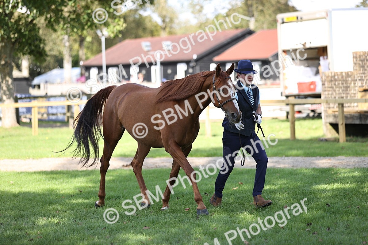 SBM_26256 - S5 - Novice & Newcomers In Hand