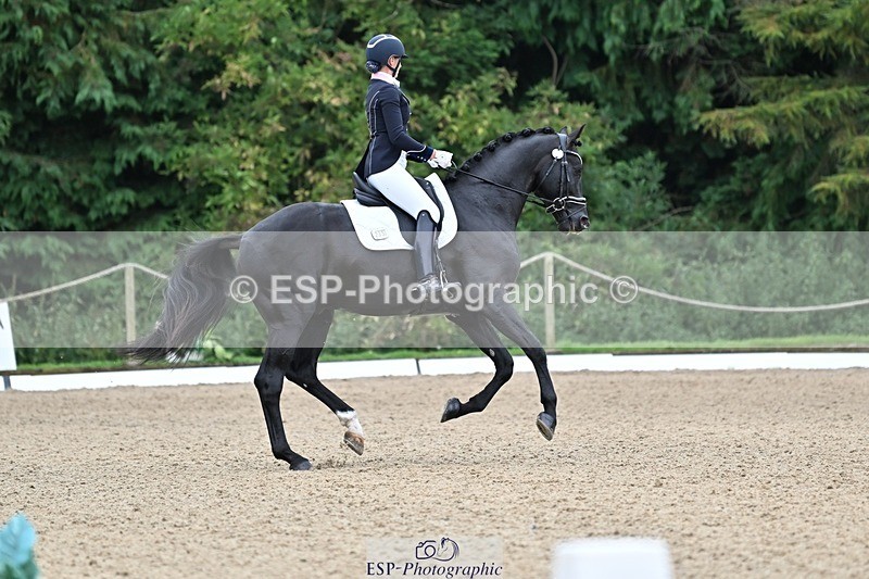 240810-102902-02675 - 235-Rebecca.Cowderoy-Nights.Dream