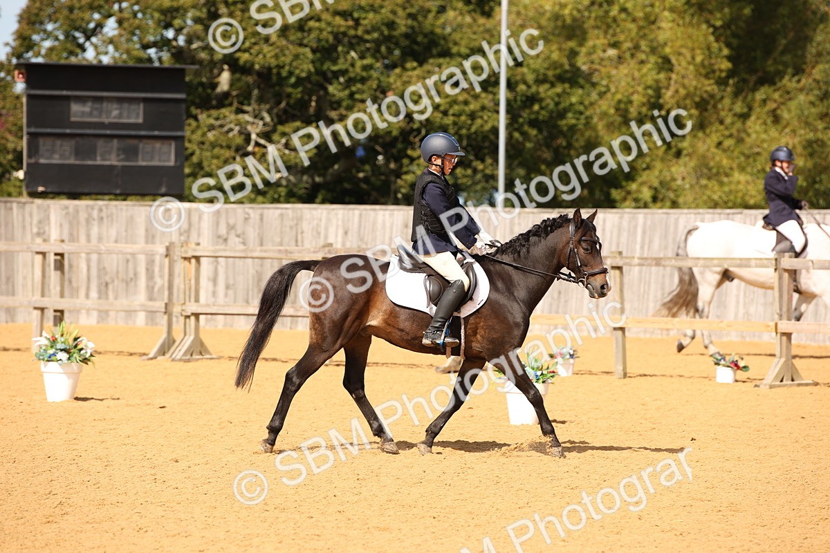 SBM_21819 - D5 - Small Tour Championship - Intro C
