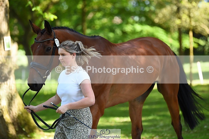 230524-160614-00683 - 253-MY_EASTWOOD_BRIGHTSIDE-Darcy_Zander-WEDTrotUp+DR