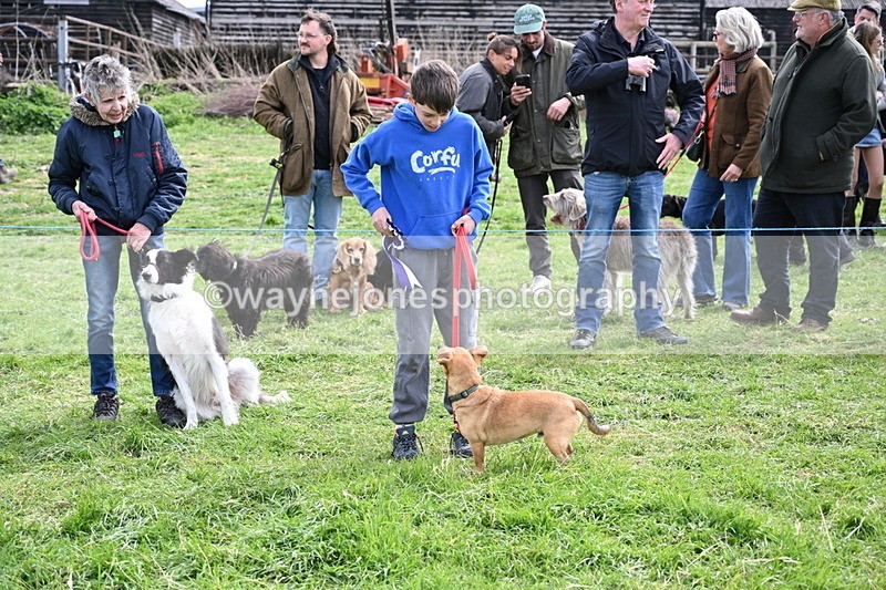 WJ6_8623 - Class 6 Best Rescue