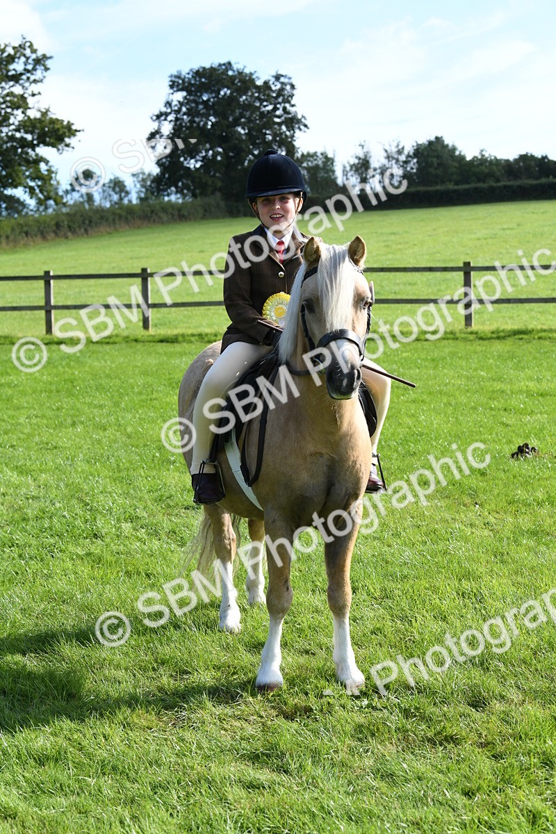 SBM_50500 - S21 - Novice & Newcomers 1st Ridden Pony