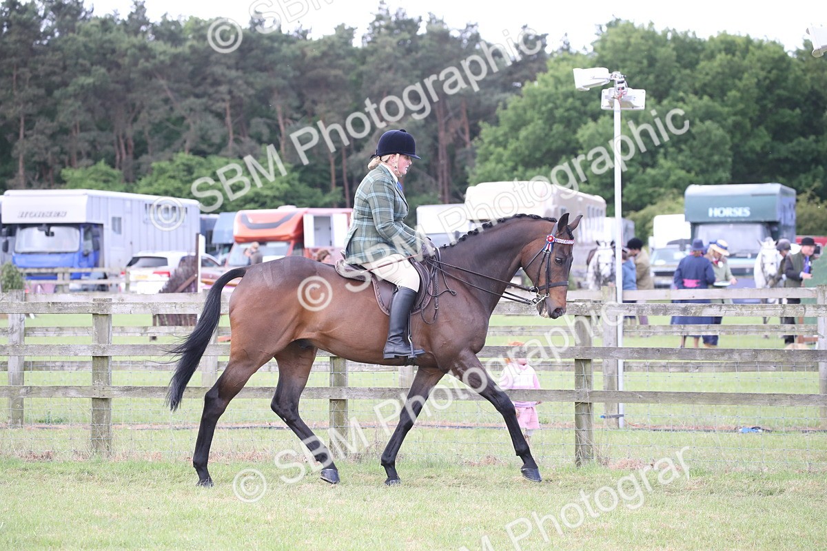 SBM_14144 - Class 113-114 - Retraining of Racehorses Ridden