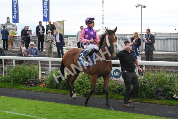 yr19082021r7-8 - Race 7 5.20pm British Stallion Studs EBF Fillies' Stakes