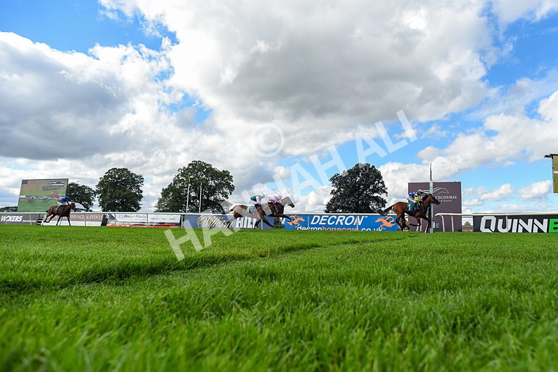 140926-Race 3-Majestic Jude-2-4 - Race 3 3.21pm British Stallion Studs EBF Novice Stakes