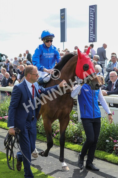 yr17082022r2-13 - Race 2 2.25pm Tattersalls Acomb Stakes