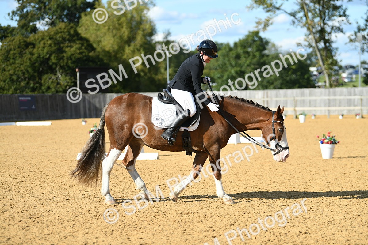 SBM_27129 - D16 - Small Tour Championship - Novice 28
