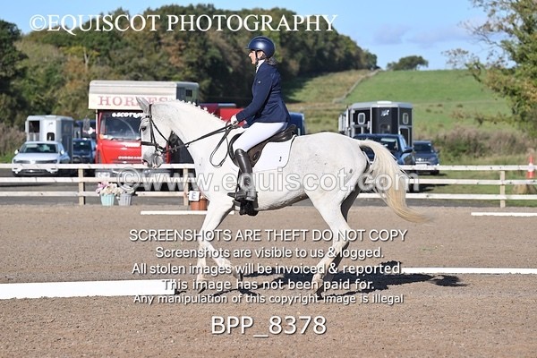 BPP_8378 - LONG ARENA