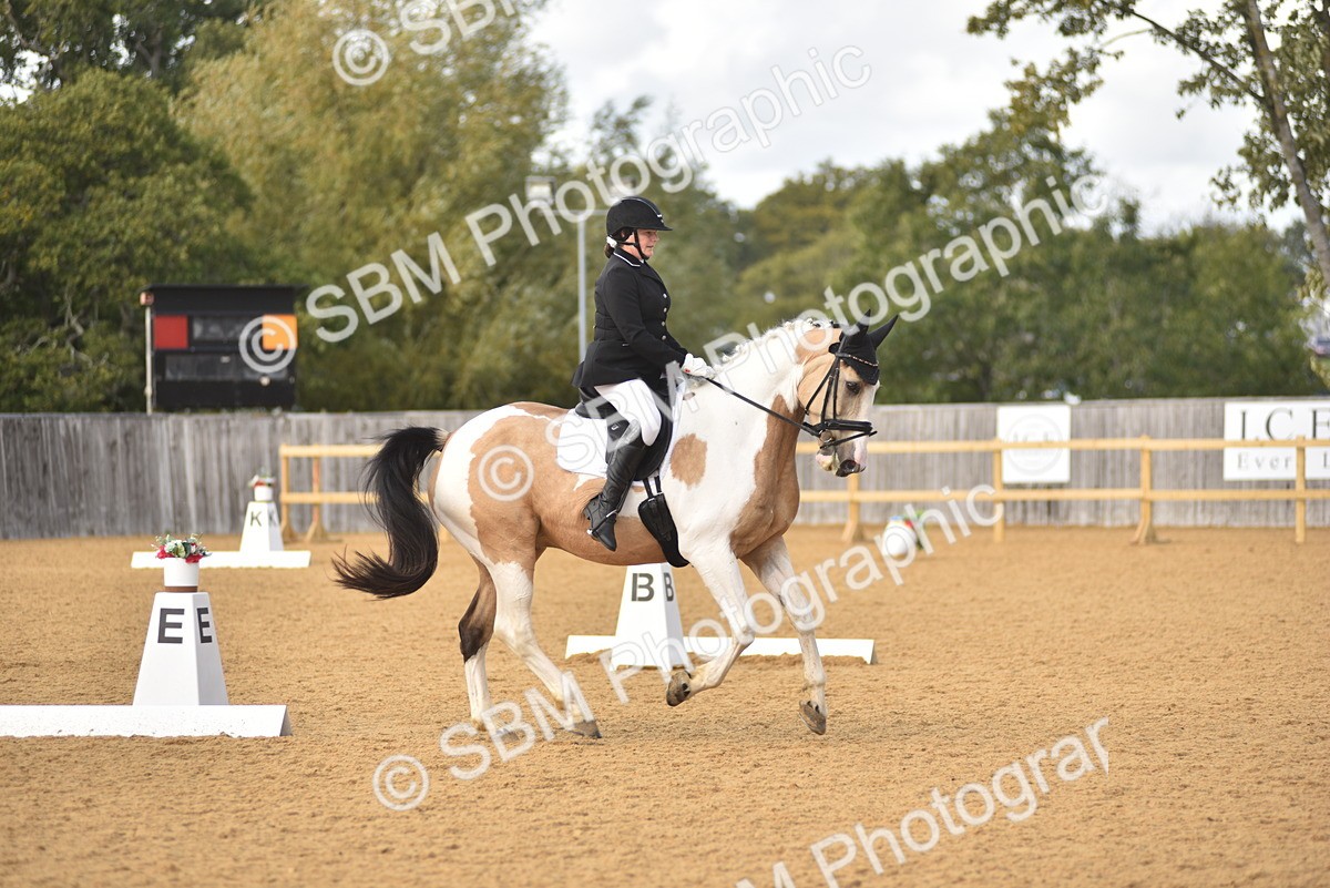 SBM_24355 - D4 - Small Tour Championship Intro 4