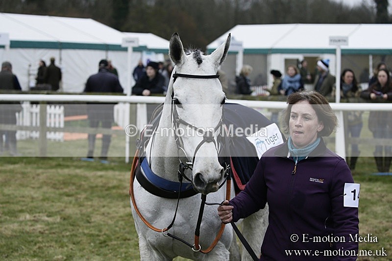 PtP 110318 8 - Hampshire Hunt Point-to-Point Hackwood Park 11/03/18